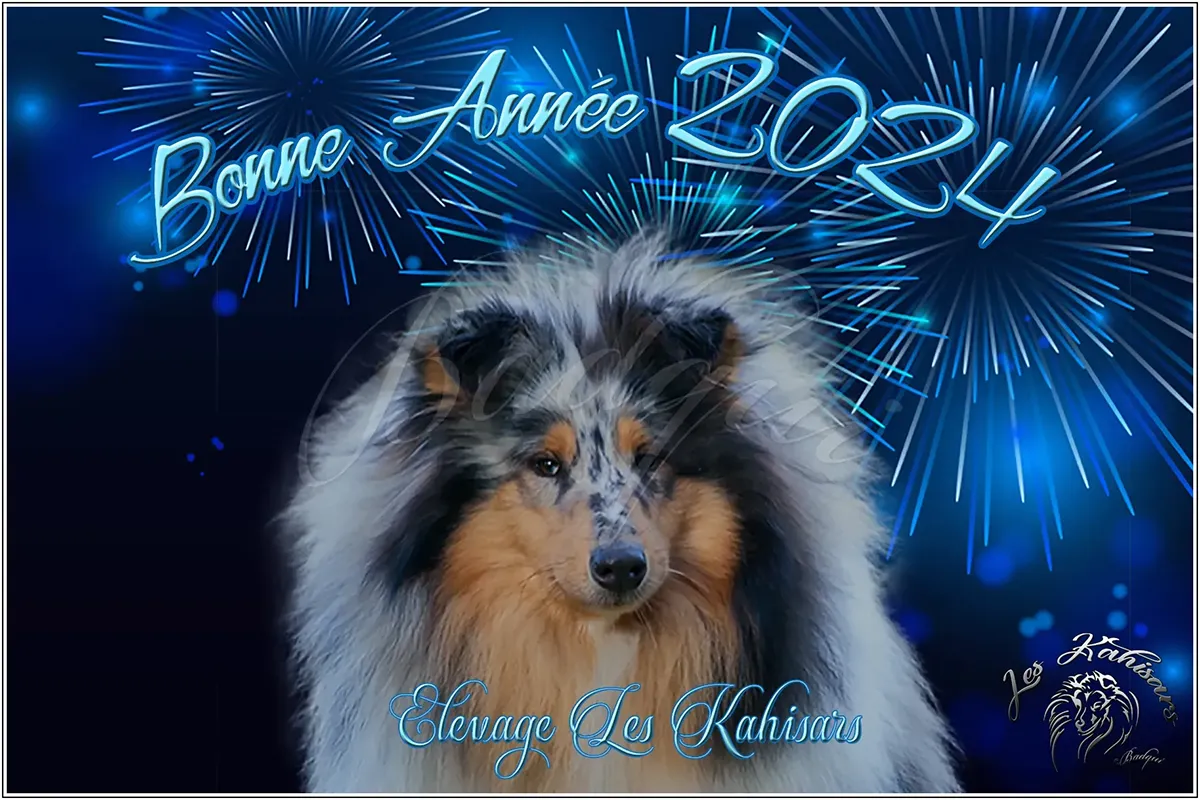 Bonne année 2024