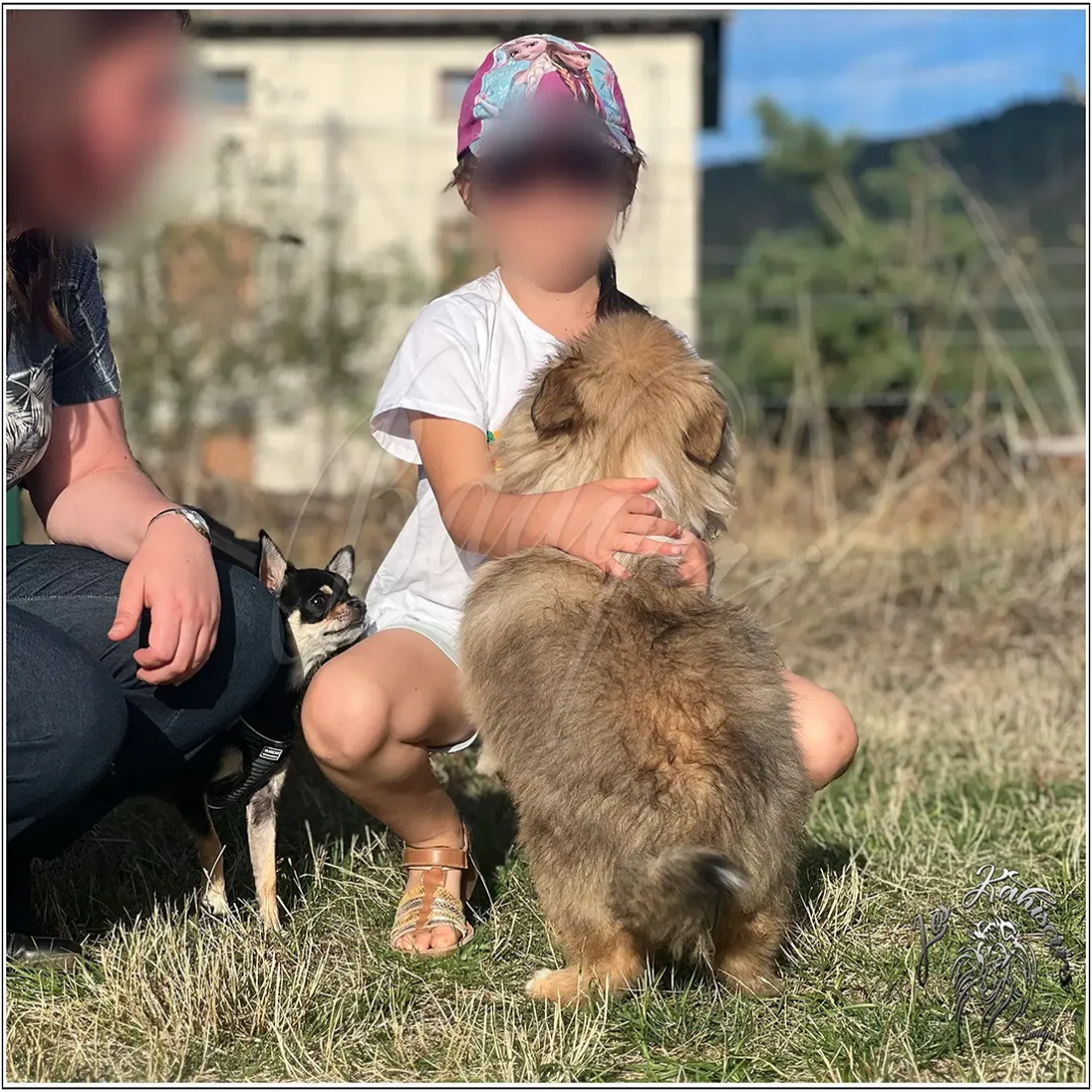 Un bébé de Rosa Parks of Kahisars rencontre une enfant et son chien