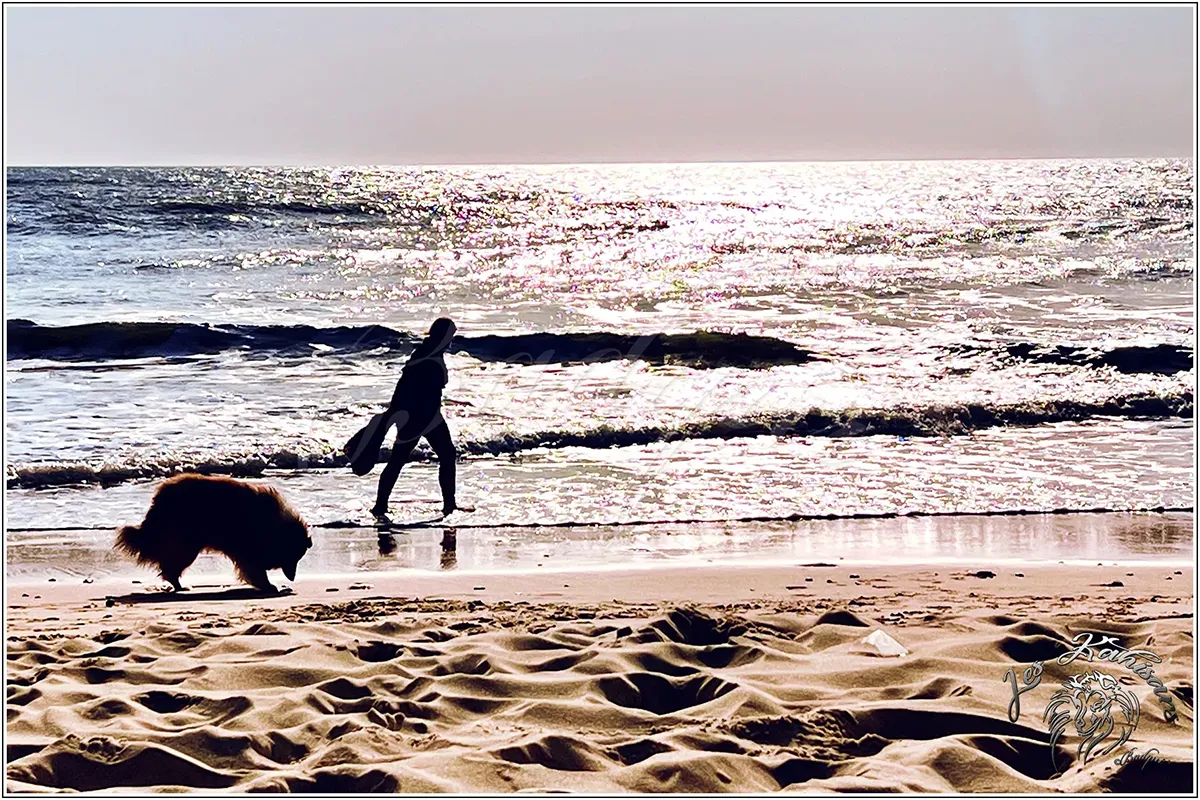 Promenade en bord de plage