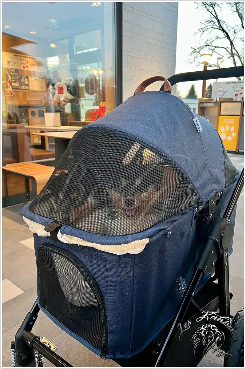 Balade en poussette pour les bébs