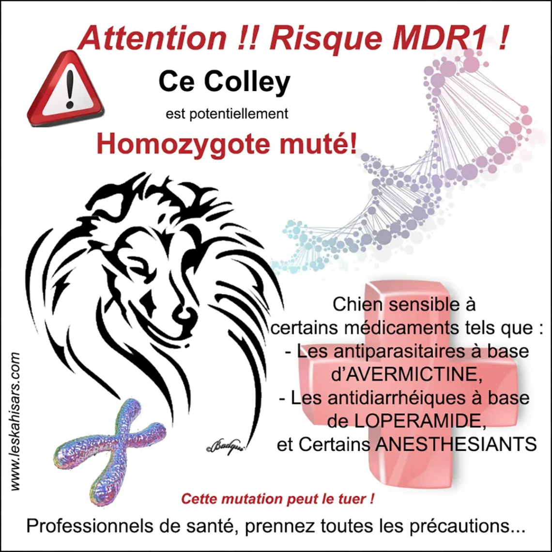 Etiquette à imprimer et à coller MDR1