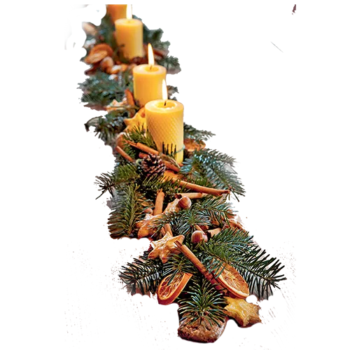 photo de branches d'if