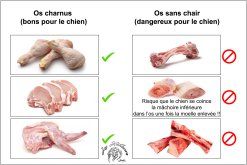 La dangerosité des os à moelle