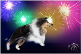 Feux d'artifice : Danger !!