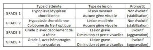 stade d'atteinte de la maladie de l'oeil des Colleys